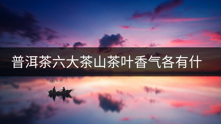 普洱茶六大茶山茶葉香氣各有什么特點？