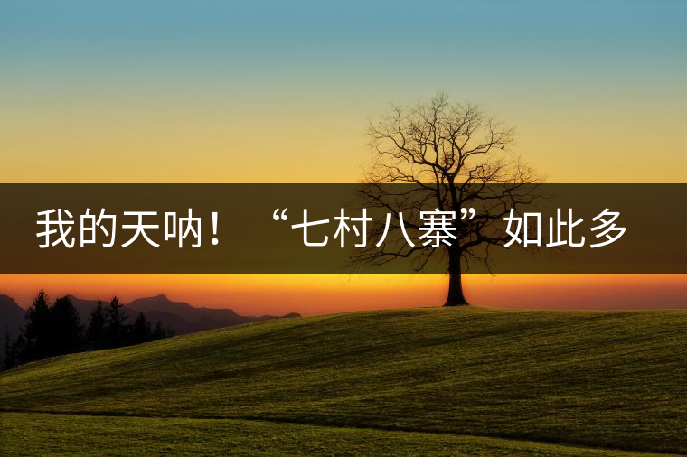 我的天吶！“七村八寨”如此多的易武茶，品質(zhì)特色如何分辨？