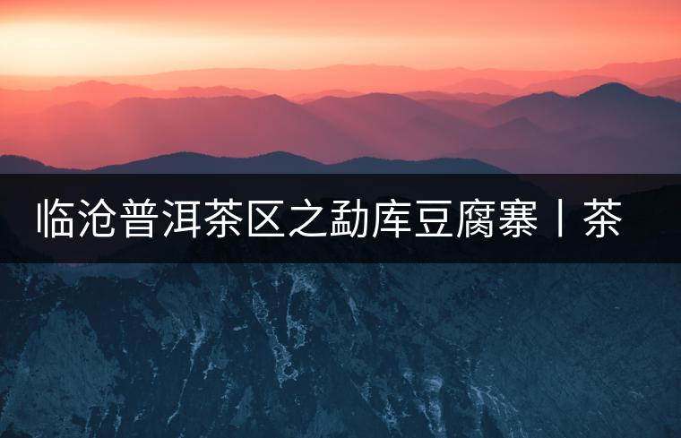 臨滄普洱茶區(qū)之勐庫(kù)豆腐寨丨茶山