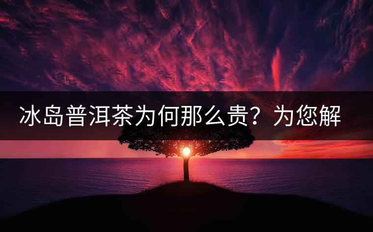 冰島普洱茶為何那么貴？為您解析其中的原由