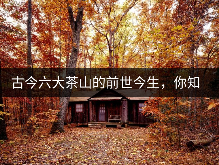 古今六大茶山的前世今生，你知多少？