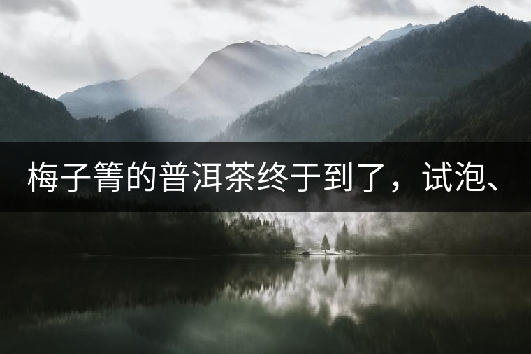 梅子箐的普洱茶終于到了，試泡、、、