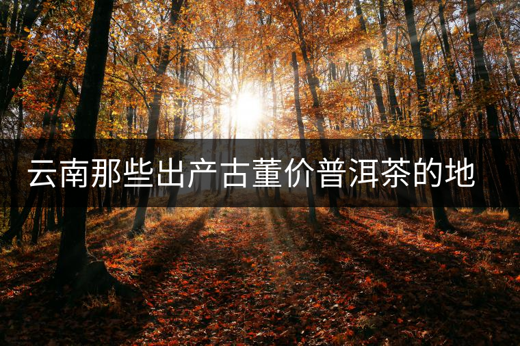 云南那些出產(chǎn)古董價(jià)普洱茶的地方，風(fēng)景如畫(huà)！