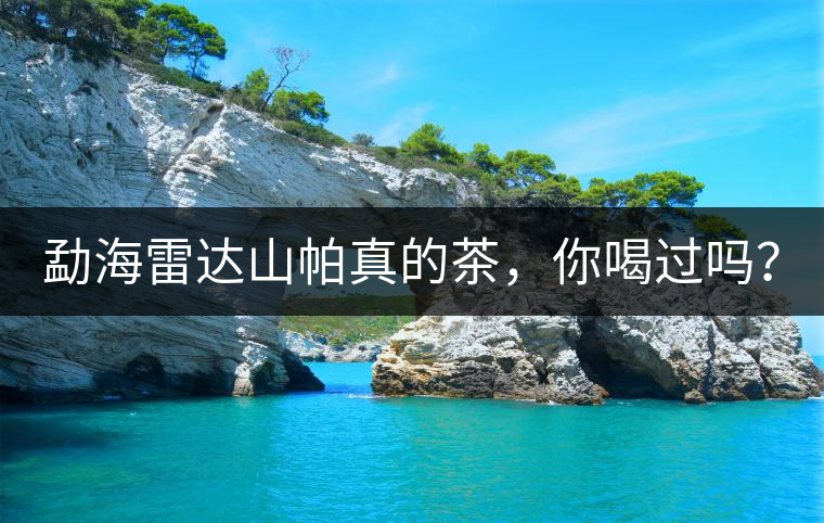 勐海雷達山帕真的茶，你喝過嗎？