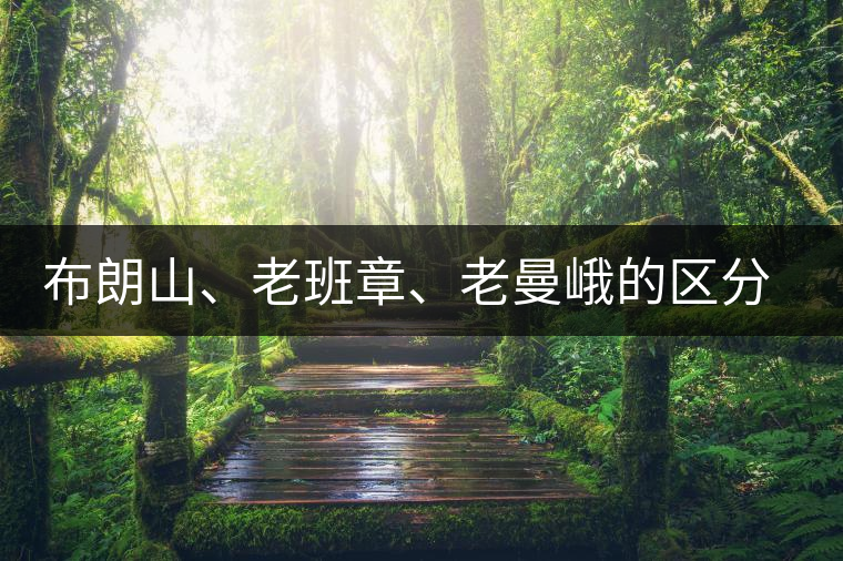 布朗山、老班章、老曼峨的區(qū)分和鑒別