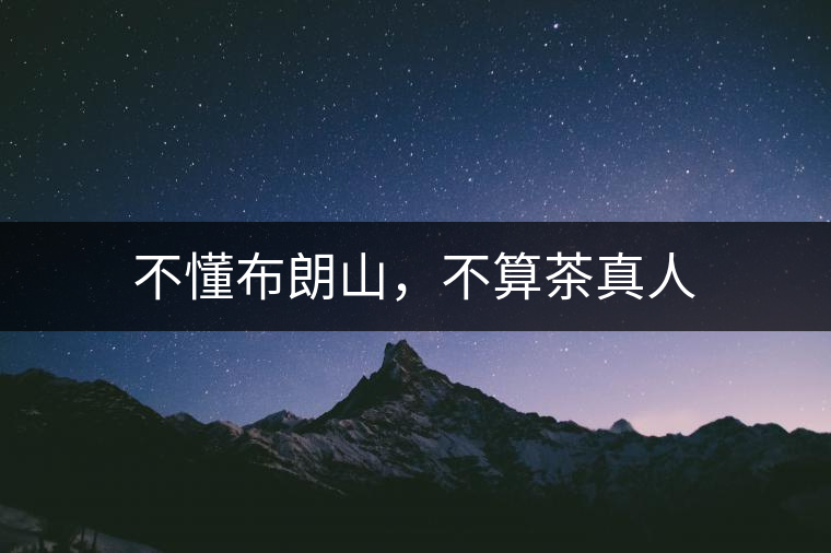 不懂布朗山，不算茶真人