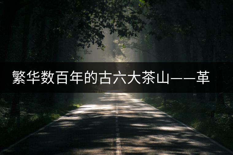 繁華數(shù)百年的古六大茶山——革登古茶山