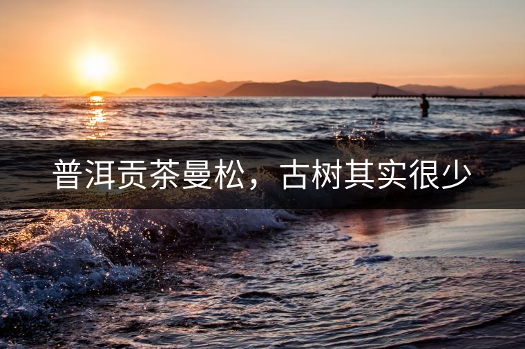 普洱貢茶曼松，古樹其實很少