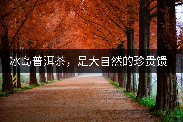 冰島普洱茶，是大自然的珍貴饋贈(zèng)