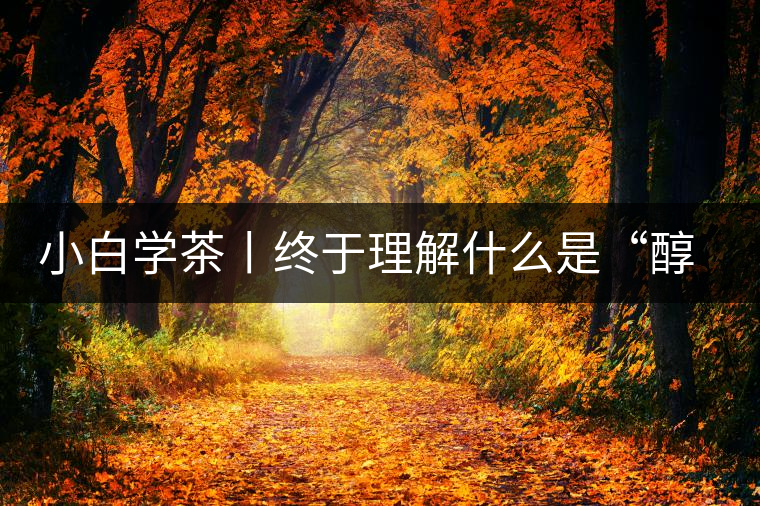 小白學(xué)茶丨終于理解什么是“醇厚、耐泡，回甘”了