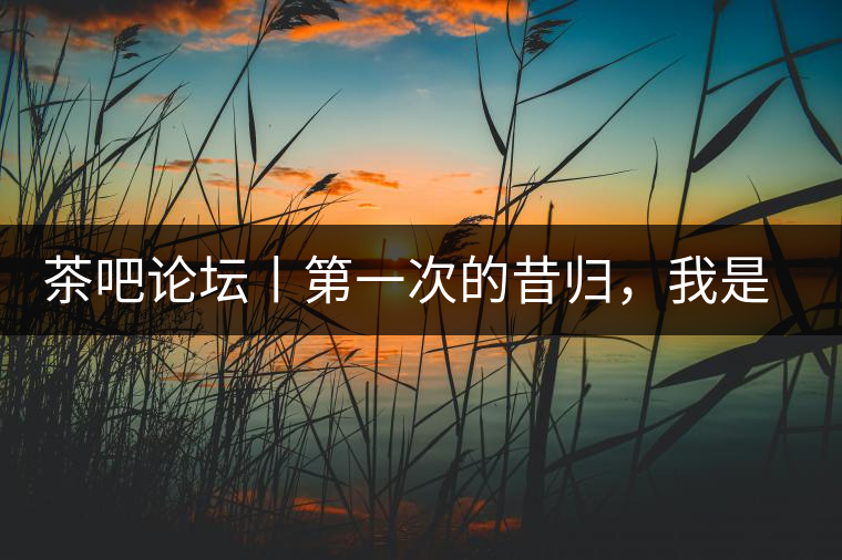 茶吧論壇丨第一次的昔歸，我是這樣喝到的