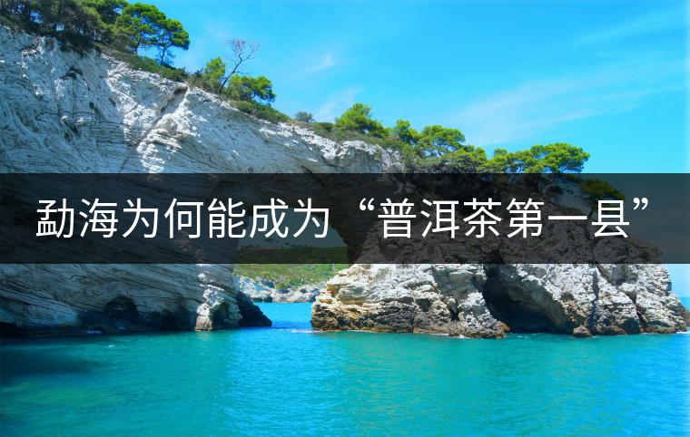 勐海為何能成為“普洱茶第一縣”？