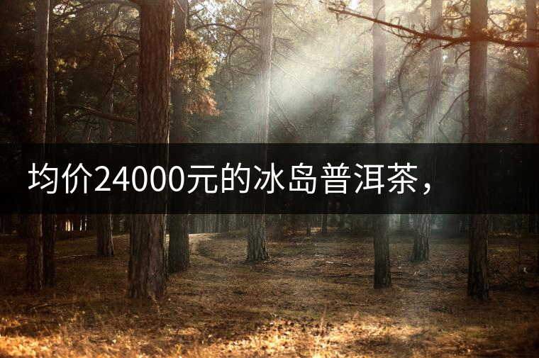 均價(jià)24000元的冰島普洱茶，不是誰(shuí)都喝的出的涼感