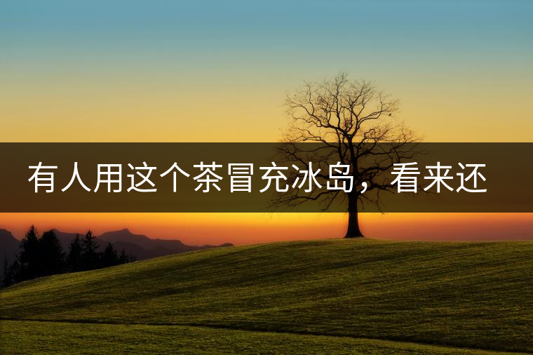 有人用這個茶冒充冰島，看來還是有幾分道理