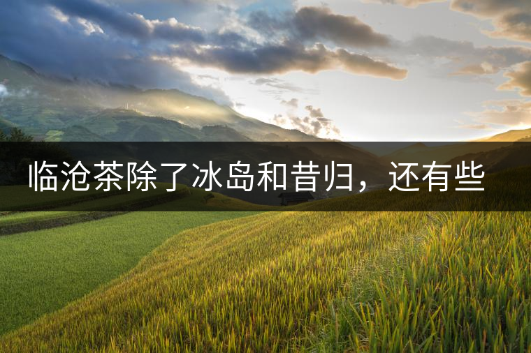 臨滄茶除了冰島和昔歸，還有些什么？