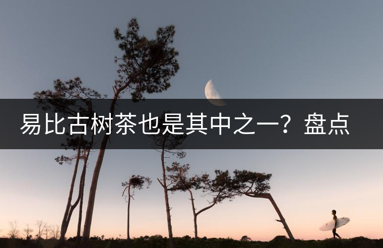 易比古樹(shù)茶也是其中之一？盤(pán)點(diǎn)當(dāng)下易武最火的十大古樹(shù)茶！