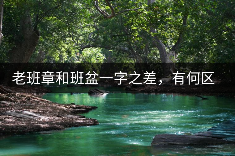 老班章和班盆一字之差，有何區(qū)別