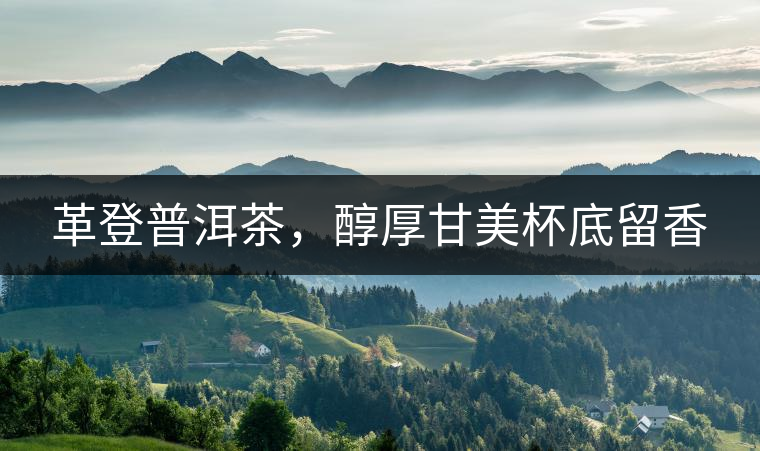 革登普洱茶，醇厚甘美杯底留香