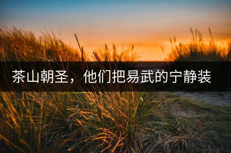 茶山朝圣，他們把易武的寧?kù)o裝進(jìn)心里，卻把成堆垃圾留在