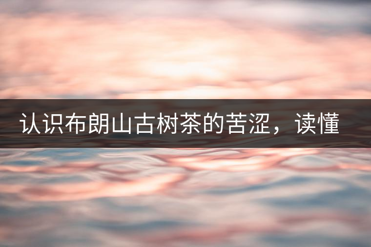 認(rèn)識(shí)布朗山古樹茶的苦澀，讀懂勐海普洱茶