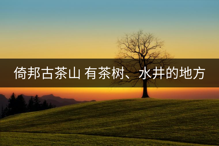 倚邦古茶山 有茶樹、水井的地方