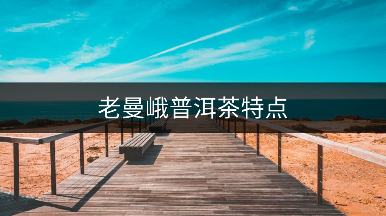 老曼峨普洱茶特點