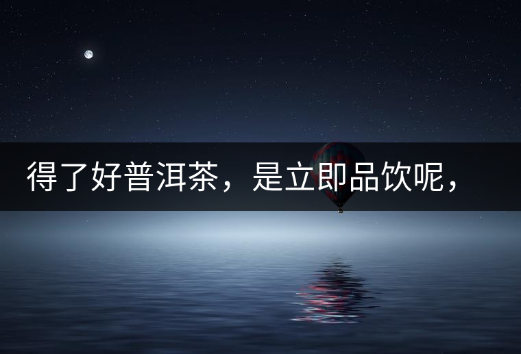 得了好普洱茶，是立即品飲呢，還是收藏？