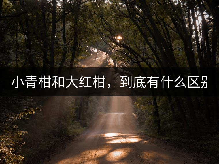 小青柑和大紅柑，到底有什么區(qū)別？