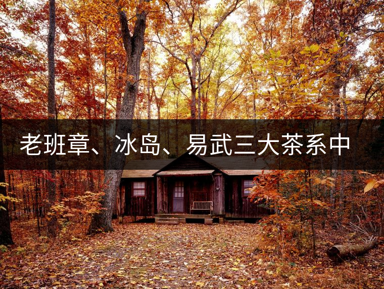 老班章、冰島、易武三大茶系中，“潛力股”為何是易武？