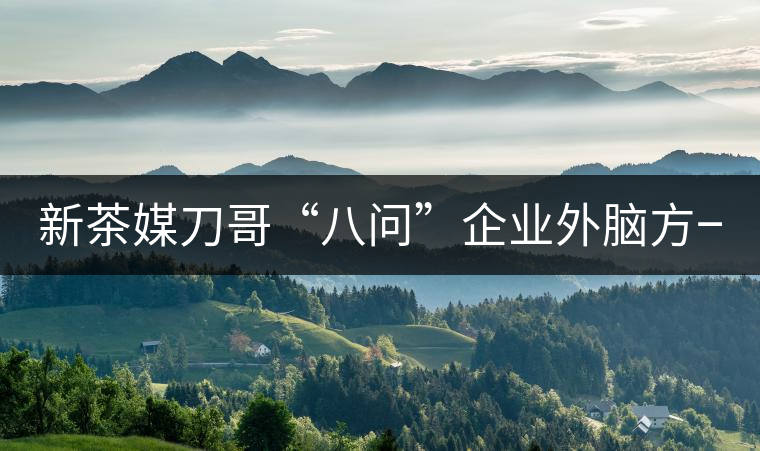 新茶媒刀哥“八問”企業(yè)外腦方一知 ——“茶人訪談暨方一知新書簽售會”