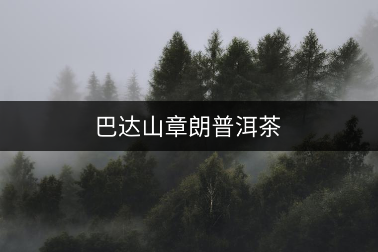 巴達山章朗普洱茶