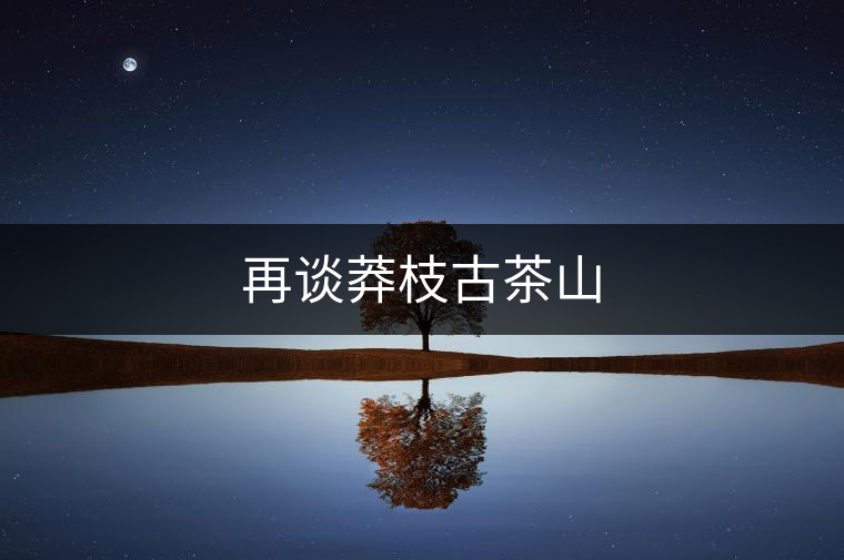 再談莽枝古茶山