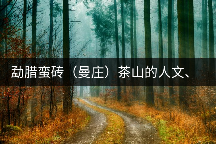 勐臘蠻磚（曼莊）茶山的人文、生態(tài)