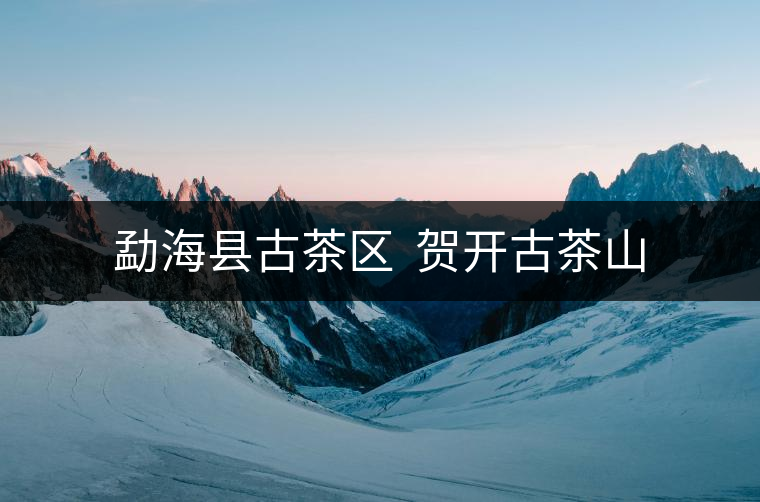 勐?？h古茶區(qū)  賀開古茶山