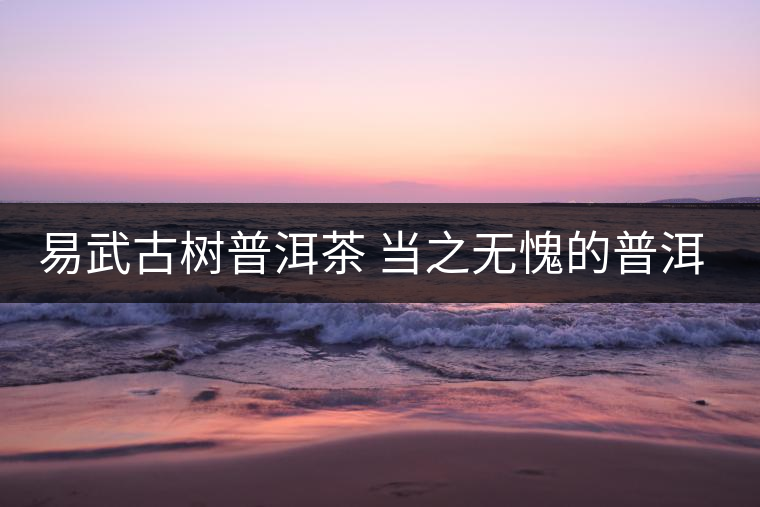 易武古樹(shù)普洱茶 當(dāng)之無(wú)愧的普洱茶首選