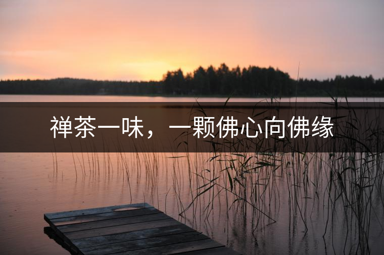 禪茶一味，一顆佛心向佛緣
