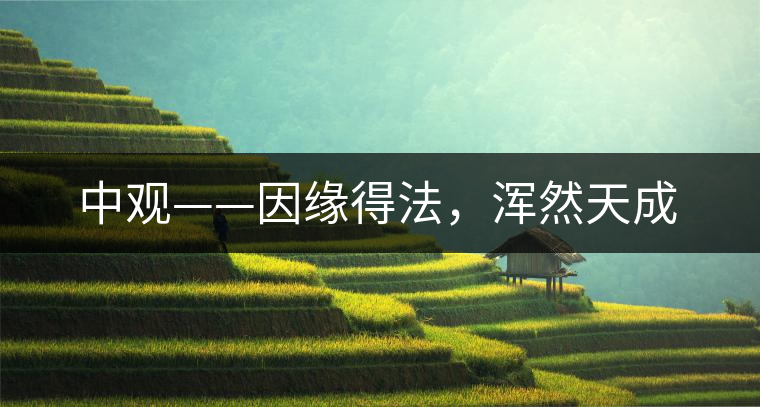 中觀——因緣得法，渾然天成