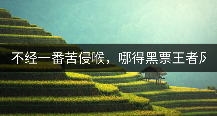 不經一番苦侵喉，哪得黑票王者風！
