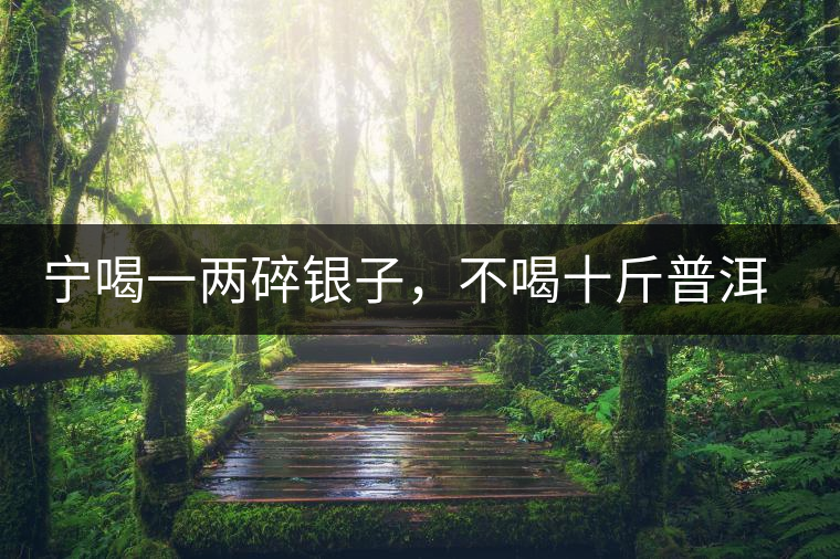 寧喝一兩碎銀子，不喝十斤普洱茶