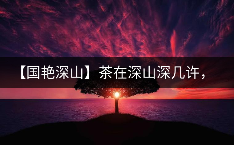 【國(guó)艷深山】茶在深山深幾許，布朗味釅釅幾分！