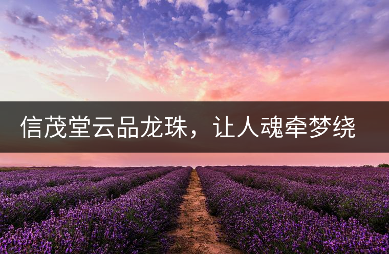 信茂堂云品龍珠，讓人魂牽夢繞的尤物