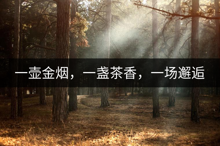 一壺金煙，一盞茶香，一場(chǎng)邂逅