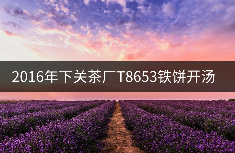 2016年下關(guān)茶廠(chǎng)T8653鐵餅開(kāi)湯賞析
