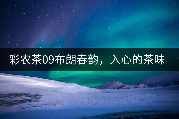 彩農(nóng)茶09布朗春韻，入心的茶味兒