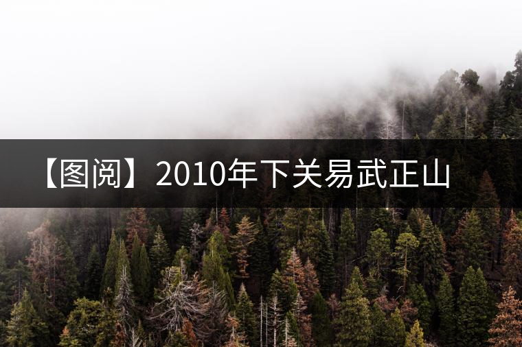 【圖閱】2010年下關(guān)易武正山老樹(shù)沱茶開(kāi)湯 【圖閱】2010年下關(guān)易武正山老樹(shù)沱茶開(kāi)湯