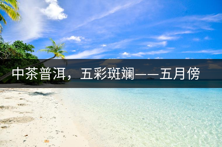 中茶普洱，五彩斑斕——五月傍晚，一道茶