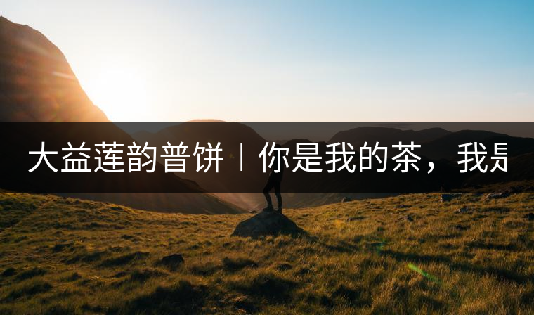 大益蓮韻普餅︱你是我的茶，我是你的人！