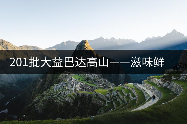 201批大益巴達(dá)高山——滋味鮮爽醇厚，回甘高而持久