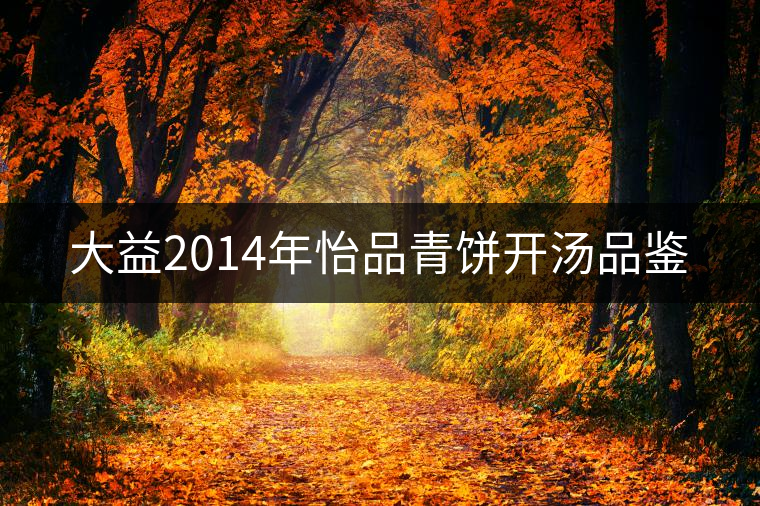 大益2014年怡品青餅開湯品鑒