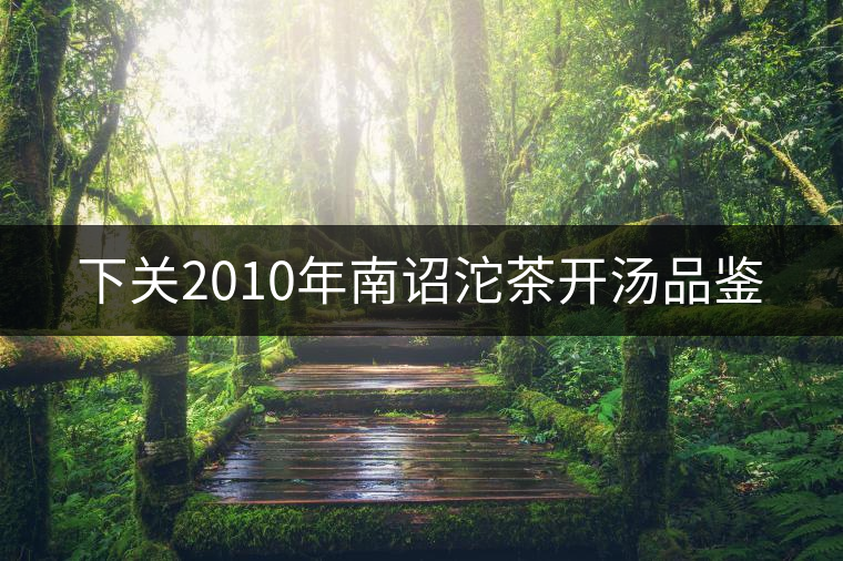 下關(guān)2010年南詔沱茶開(kāi)湯品鑒 下關(guān)2010年南詔沱茶開(kāi)湯品鑒